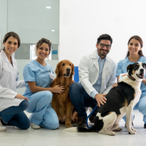 Animal Care and Pet Sitting