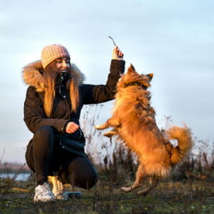 Woman training her dog outdoors as the dog jumps to catch a stick during a winter walk.