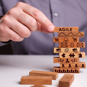 Agile Project Management Diploma