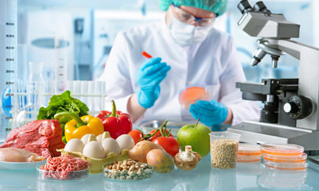 HACCP Food Hygiene and Safety Management Diploma