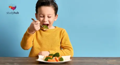 Level 3 Childcare Training, Nutrition and Development