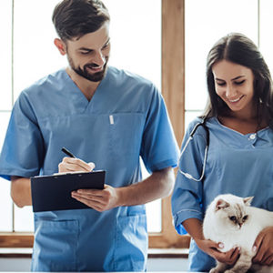Veterinary Assistant and Animal Diet Management