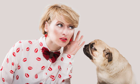 Animal Communication and Care