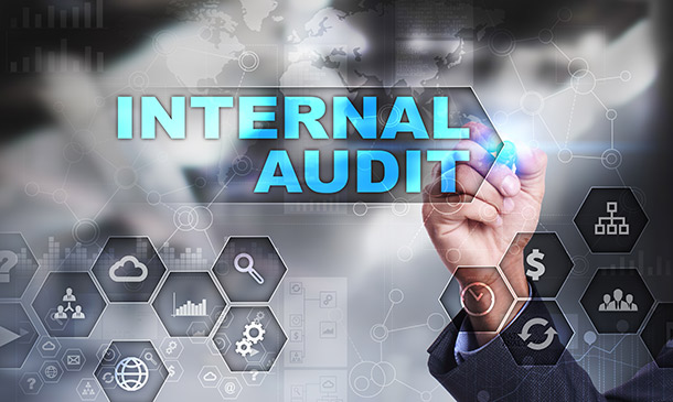 Internal Audit and Risk Control Training