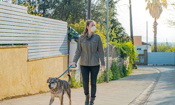 Dog Leash Training: The Walk & Recall