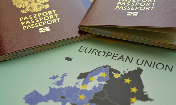 EU Customs and Compliance