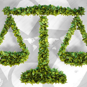 Environmental Law 2021