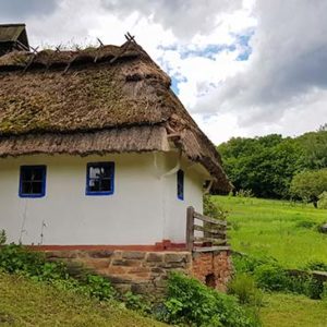 Homesteading Diploma