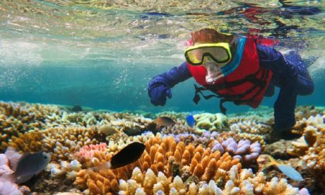 Marine Biology Course - Online Diploma