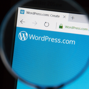 Basics of WordPress: Create Unlimited Websites