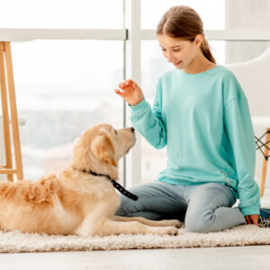 Pet Training Masterclass