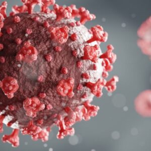Bloodborne Pathogens: Understanding and Preventing Bloodborne Diseases