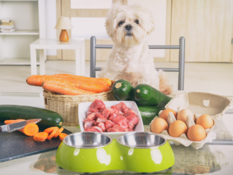 Complete Raw Diet for Dog – CPD Certified