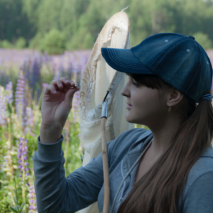 Exploring the Fascinating World of Entomology (Insect Studies)