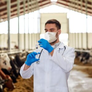 Health and Safety in Veterinary Services: Ensuring Animal Care Excellence