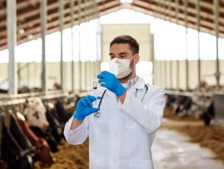 Health and Safety in Veterinary Services: Ensuring Animal Care Excellence