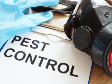 Pest Control Techniques: Effective Solutions for Pest Management