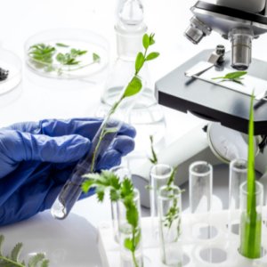 Delving into Plant Pathology: Understanding Crop Health