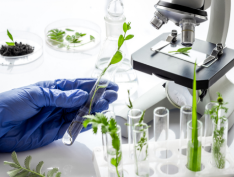 Delving into Plant Pathology: Understanding Crop Health