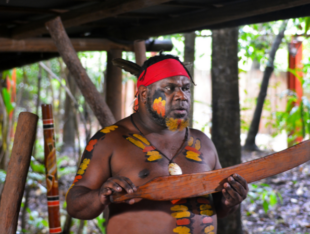 Indigenous Studies: Australian Aboriginal Cultures