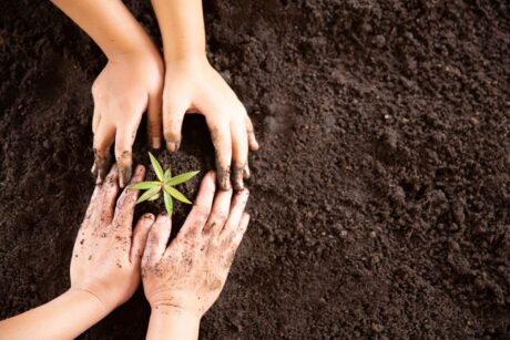 How to Become a Gardener: Cultivating Your Green Thumb