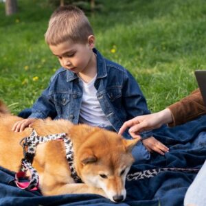 Level 4 Canine/ Dog Behaviour Diploma