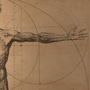 Vintage anatomical illustration of a human male body with outstretched arm, overlaid with geometric circles and measurement lines inspired by classical scientific drawings.