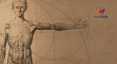 Vintage anatomical illustration of a human male body with outstretched arm, overlaid with geometric circles and measurement lines inspired by classical scientific drawings.