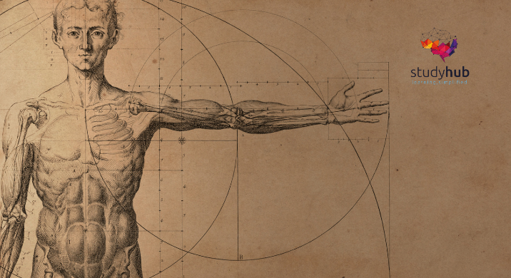 Vintage anatomical illustration of a human male body with outstretched arm, overlaid with geometric circles and measurement lines inspired by classical scientific drawings.