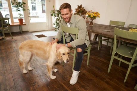 Dog Raising Essentials & House Training