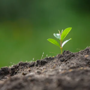 Certification in Environmental Management Level 5