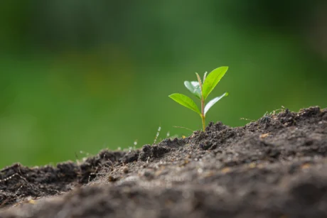 Certification in Environmental Management Level 5